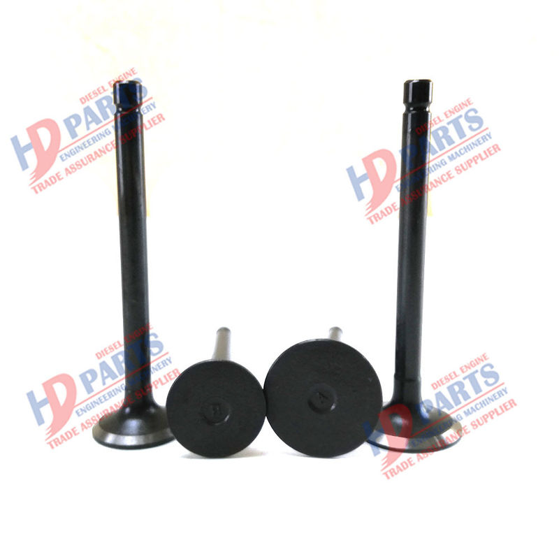 15221-13110 15221-13120 Z751 DH1101 D1102 D1301 için dizel motor valfi