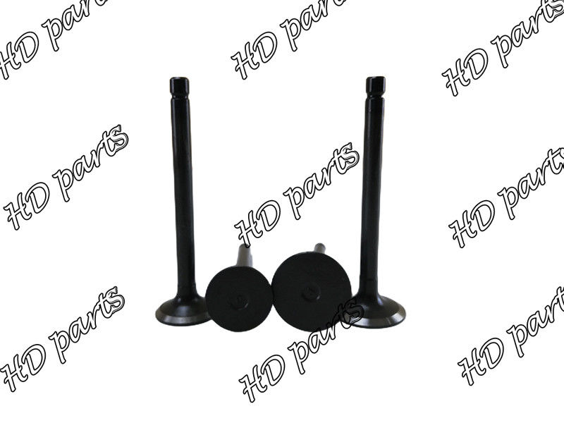 D1302 D1402 V1702 V1902 F2302 F2402 S2802 Pistonlu Valf 17331-13110 17331-13120 Kubta Motor için