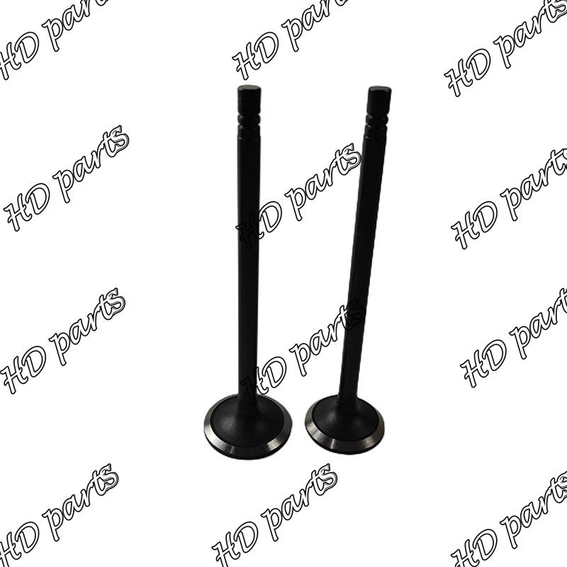 Mitsubishi Motor için S6B S6B3 Dizel Valf 33704-10102 36204-21100 36204-41101 36204-20100