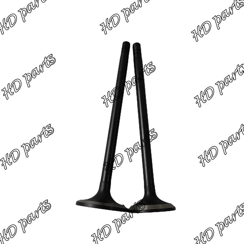 Mitsubishi Motor için S6B S6B3 Dizel Valf 33704-10102 36204-21100 36204-41101 36204-20100