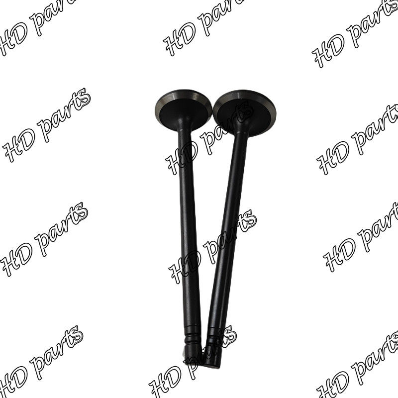 Mitsubishi Motor için S6B S6B3 Dizel Valf 33704-10102 36204-21100 36204-41101 36204-20100