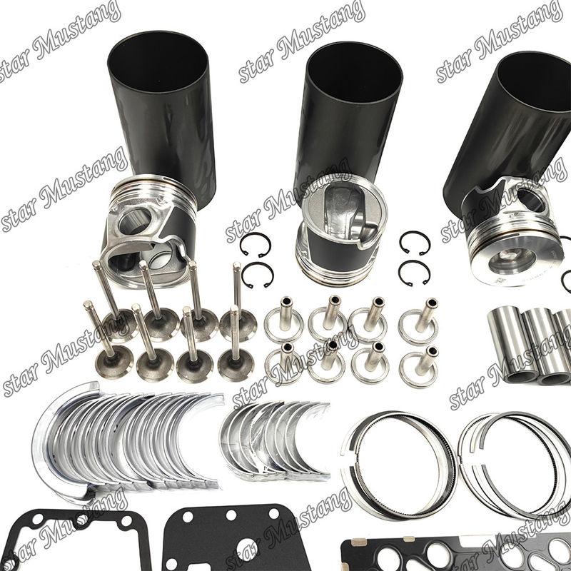 S4D104-1 F4GE Tamir Yeniden Yapım Kitsesi Siltenderi Pistonla Pin Kit Valf Koltuk Valf Rehberi Paketi Komatsu için