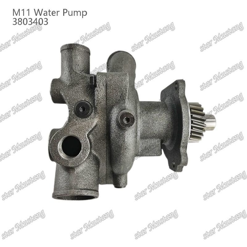 Su pompası M11 4955706 4926553 CUMMINS Dizel motor tamir parçaları için kısa şaft