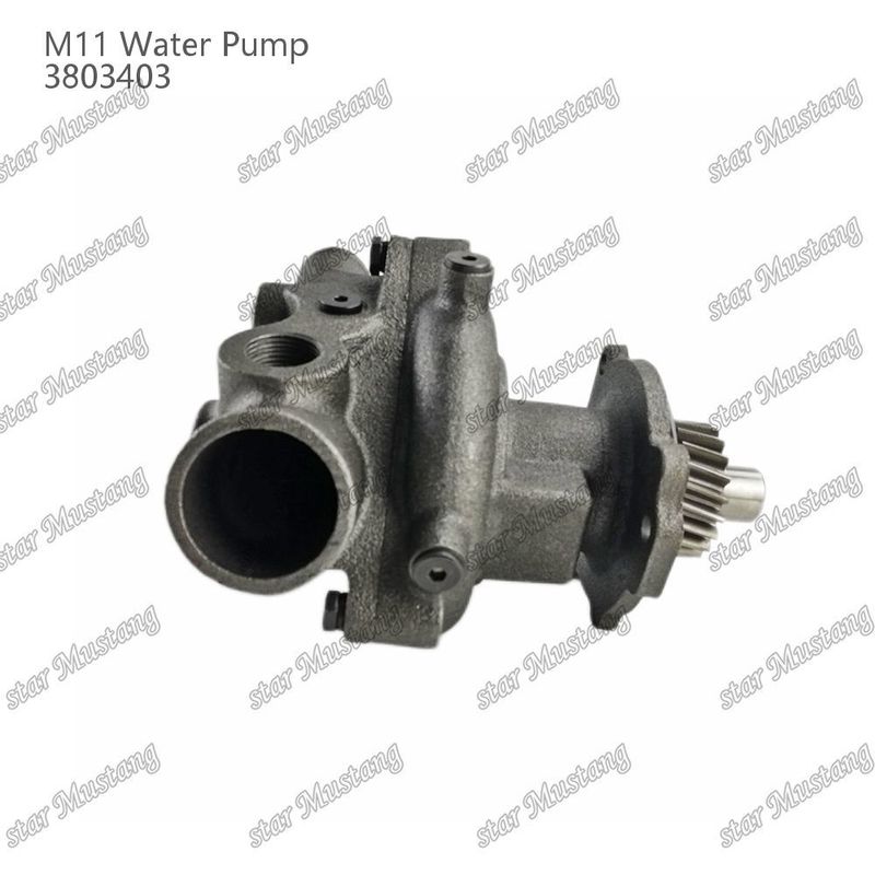 Su pompası M11 4955706 4926553 CUMMINS Dizel motor tamir parçaları için kısa şaft