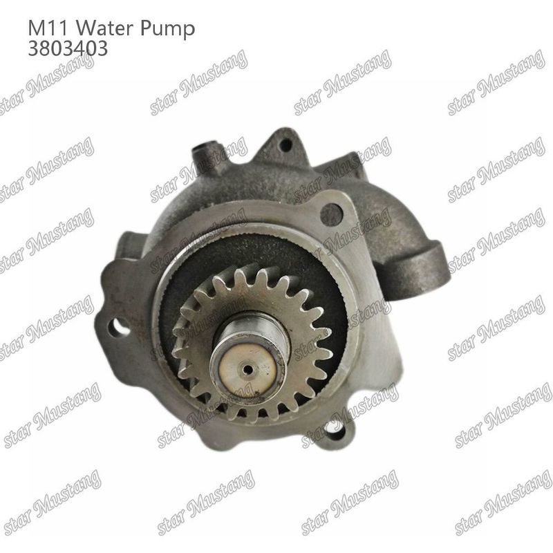 Su pompası M11 4955706 4926553 CUMMINS Dizel motor tamir parçaları için kısa şaft
