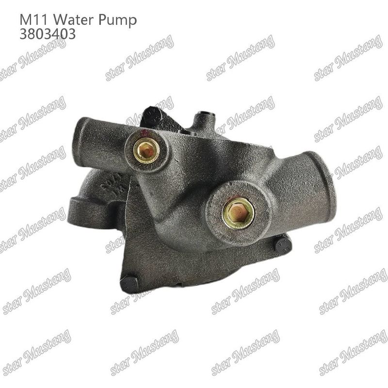 Su pompası M11 4955706 4926553 CUMMINS Dizel motor tamir parçaları için kısa şaft