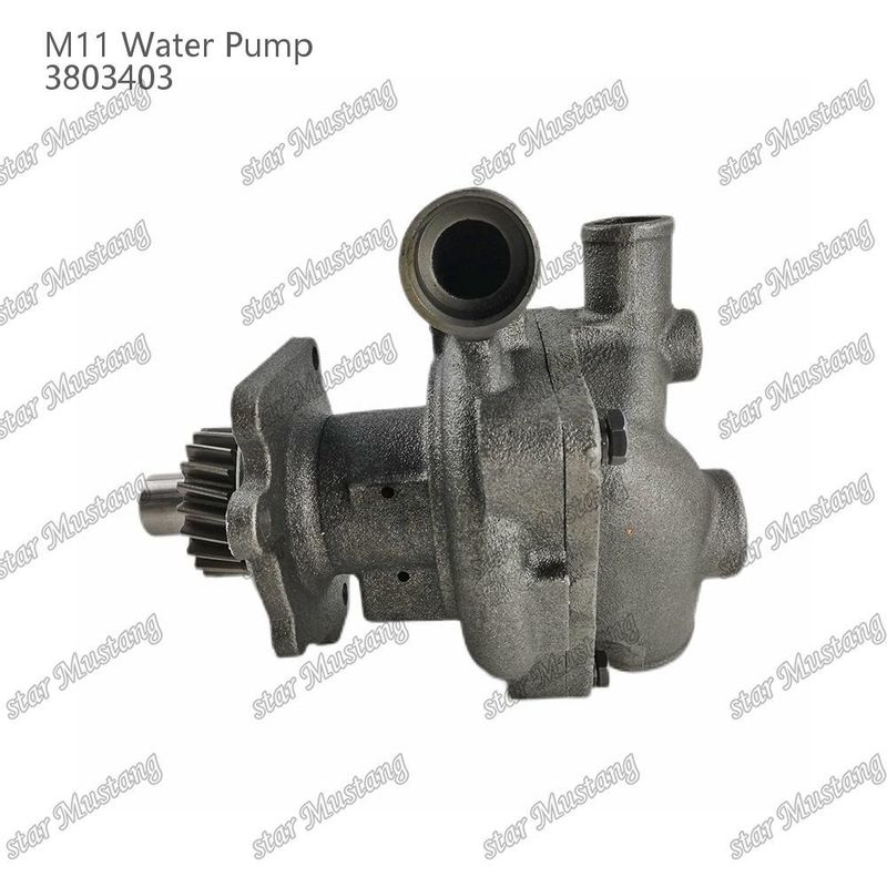 Su pompası M11 4955706 4926553 CUMMINS Dizel motor tamir parçaları için kısa şaft