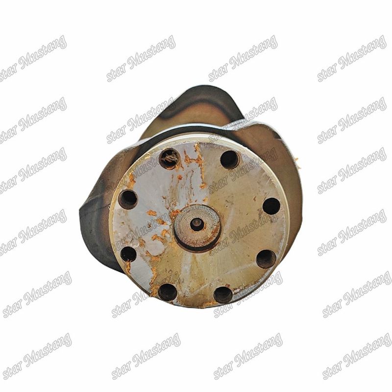 Crankshaft C6.4 320D Çelik 2611544 2769387 294-1749 Caterpillar Dizel Motoru Tamir Parçaları için