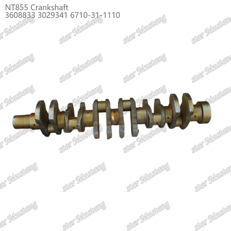 Krankşaft NT855 Cummins Dizel Motoru Parçaları için 3608833 3029341 6710-31-1110