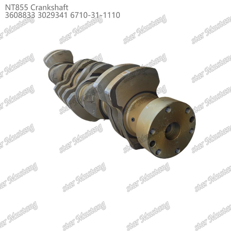 Krankşaft NT855 Cummins Dizel Motoru Parçaları için 3608833 3029341 6710-31-1110