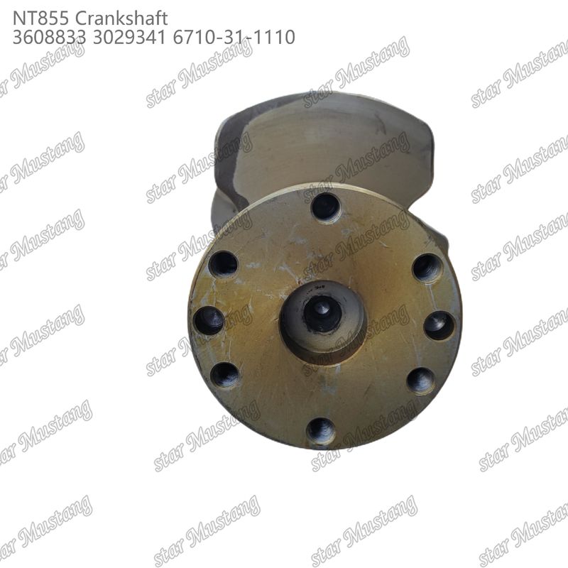 Krankşaft NT855 Cummins Dizel Motoru Parçaları için 3608833 3029341 6710-31-1110