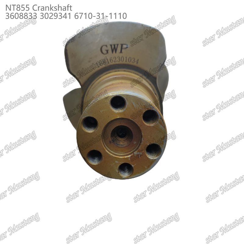 Krankşaft NT855 Cummins Dizel Motoru Parçaları için 3608833 3029341 6710-31-1110