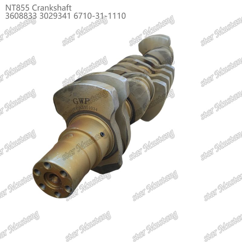 Krankşaft NT855 Cummins Dizel Motoru Parçaları için 3608833 3029341 6710-31-1110