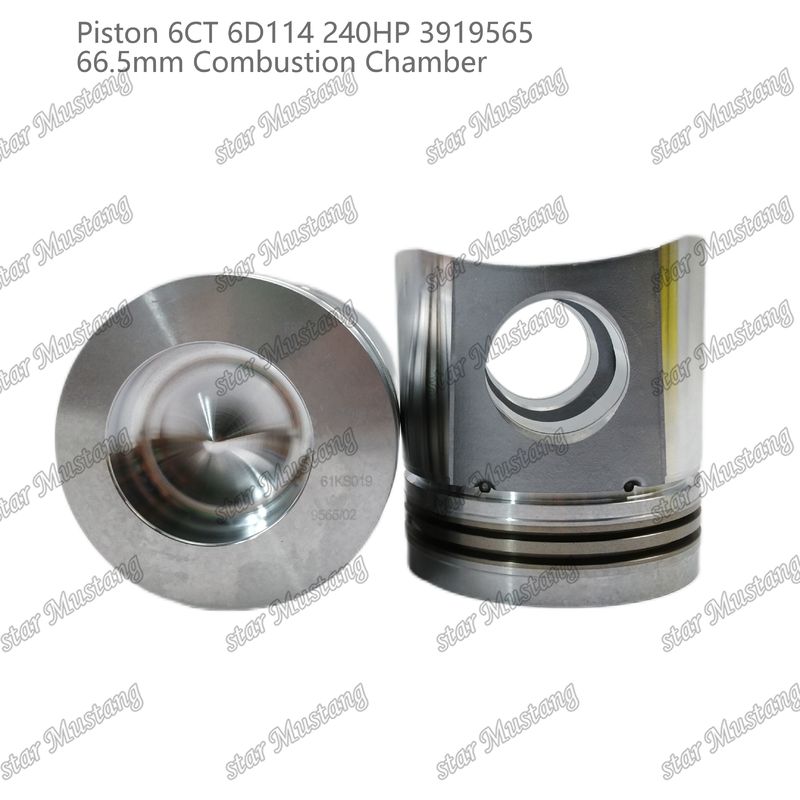 Piston 6CT 6D114 240HP 3919565 Cummins Dizel Motoru Tamir Parçaları İçin 66,5 mm Yanma Odası