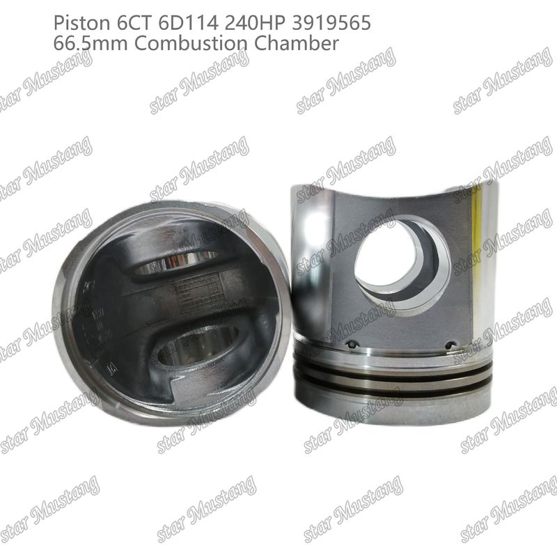 Piston 6CT 6D114 240HP 3919565 Cummins Dizel Motoru Tamir Parçaları İçin 66,5 mm Yanma Odası
