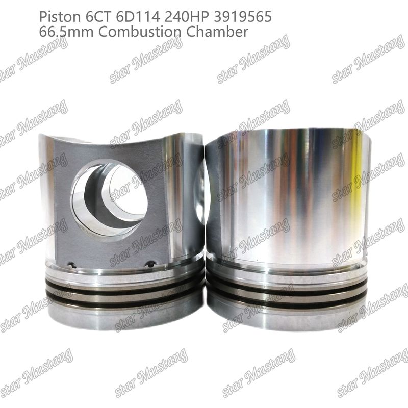 Piston 6CT 6D114 240HP 3919565 Cummins Dizel Motoru Tamir Parçaları İçin 66,5 mm Yanma Odası