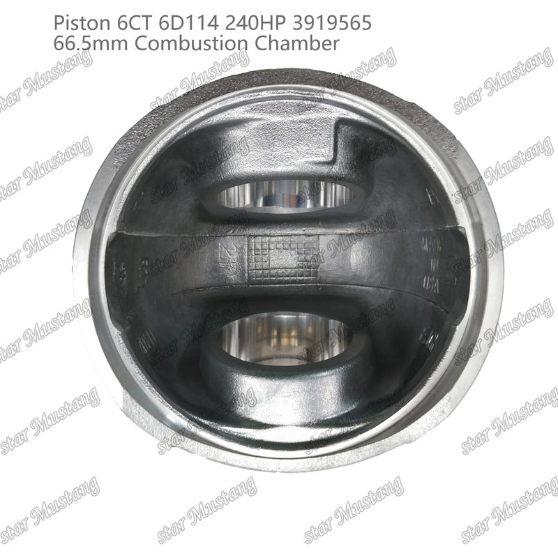 Piston 6CT 6D114 240HP 3919565 Cummins Dizel Motoru Tamir Parçaları İçin 66,5 mm Yanma Odası