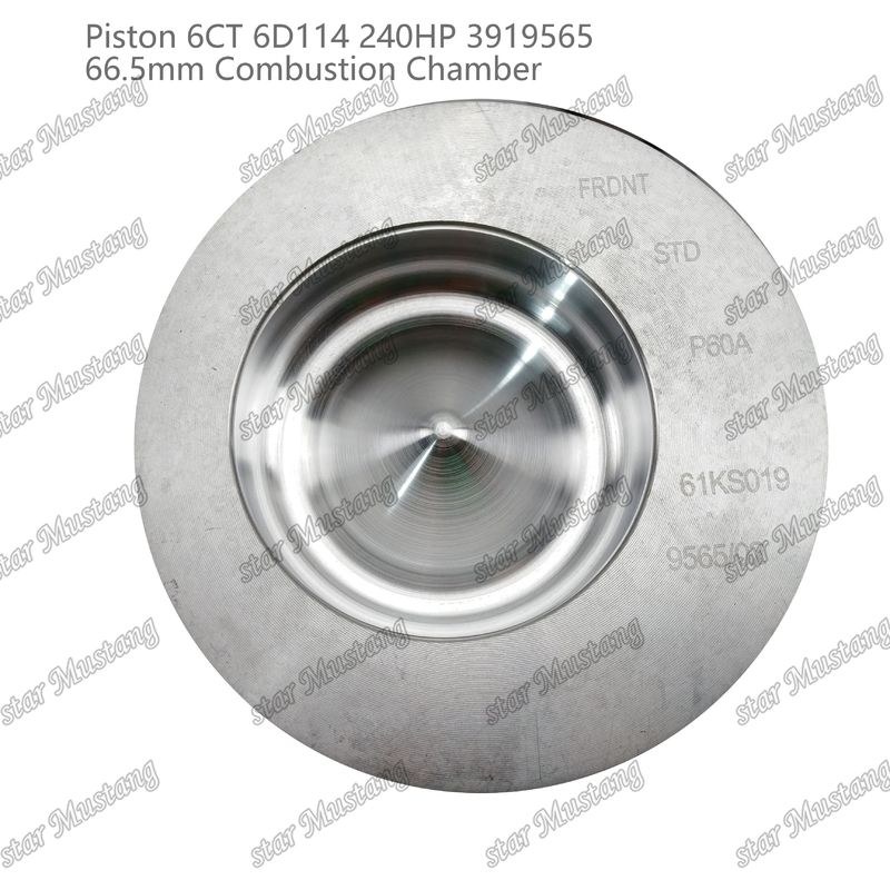 Piston 6CT 6D114 240HP 3919565 Cummins Dizel Motoru Tamir Parçaları İçin 66,5 mm Yanma Odası