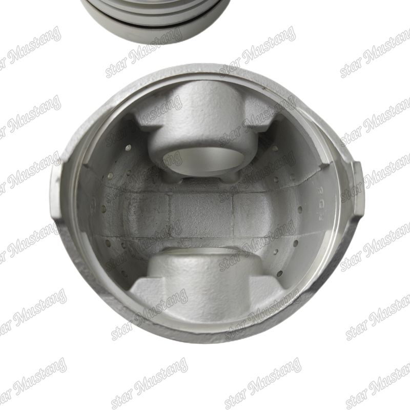 RD8 Motor Piston 12011-97004 12011-97012 12010-97006 12010-97079 Nissan Motor yedek parçaları için