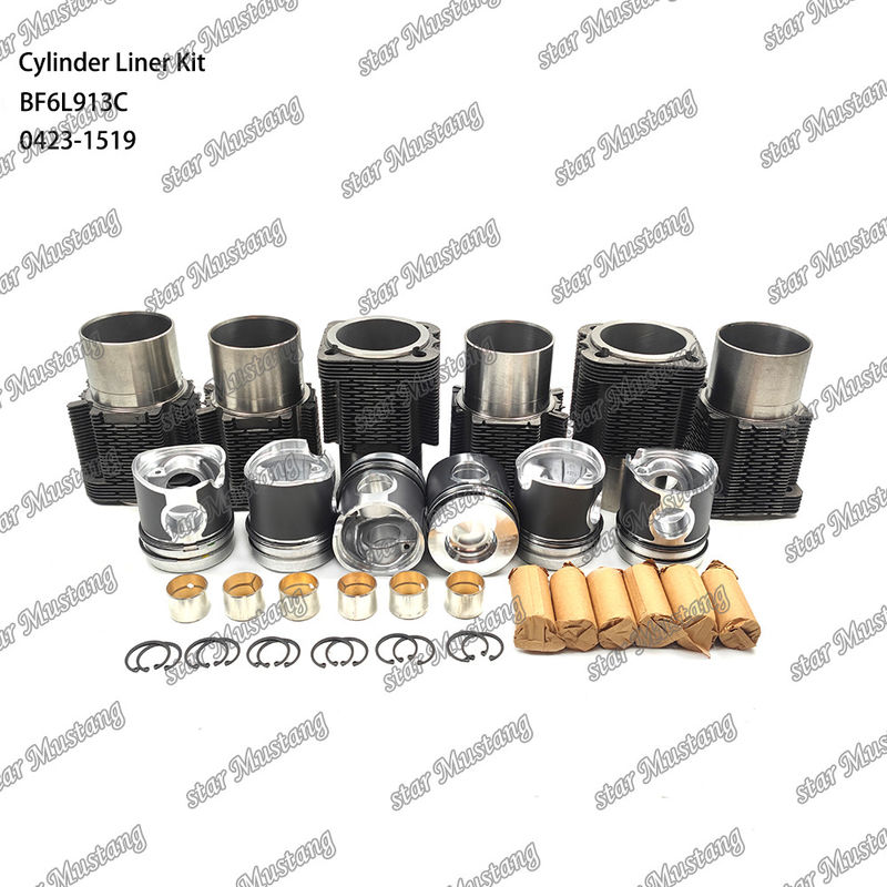 BF6L913C 0423-1519 için yeni durumlu dizel motor tipi liner kiti