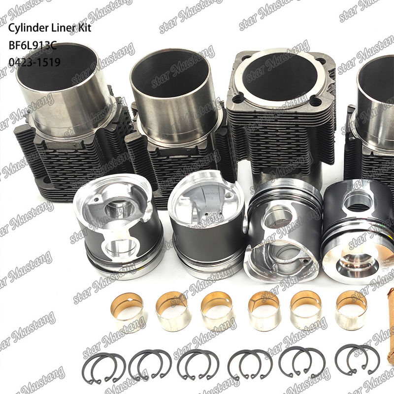 BF6L913C 0423-1519 için yeni durumlu dizel motor tipi liner kiti