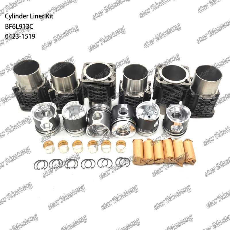 BF6L913C 0423-1519 için yeni durumlu dizel motor tipi liner kiti