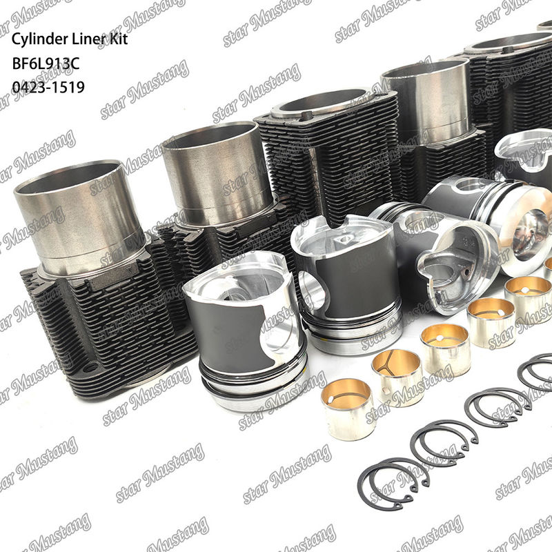 BF6L913C 0423-1519 için yeni durumlu dizel motor tipi liner kiti