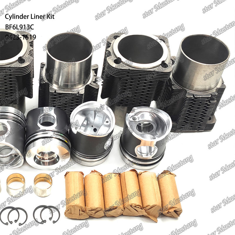BF6L913C 0423-1519 için yeni durumlu dizel motor tipi liner kiti