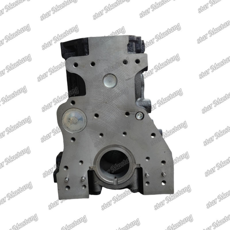 Silindir bloğu 4TNE94 YANMAR motor yedek parçaları için kazma makinesi için çift su kanalı
