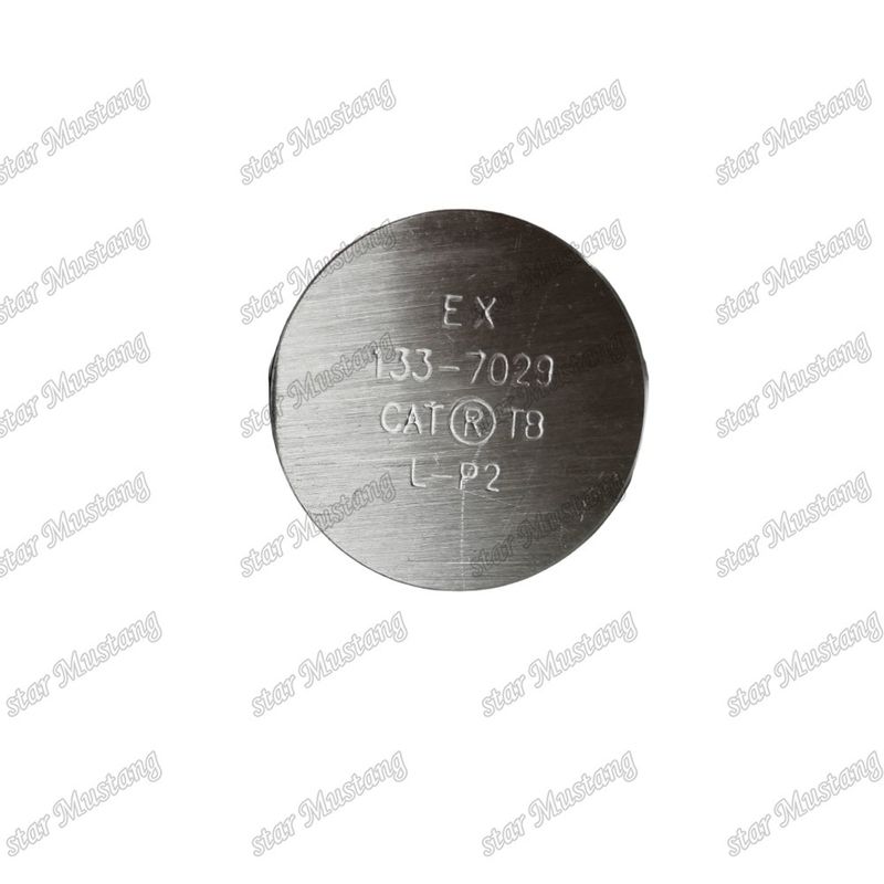 3176C C10 IN 7E9578 EX 133-7029 Caterpillar motor yedek parçaları için valf