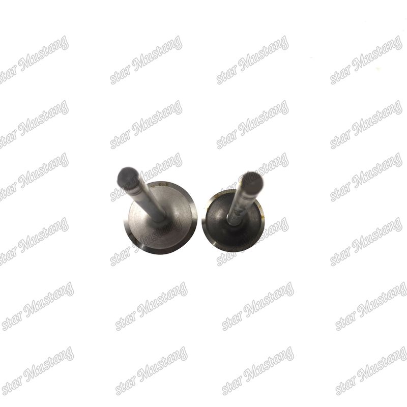 Stok Durumu Caterpillar motor yedek parçaları için 3204 giriş ve 9L7682 egzoz valf 9L7683