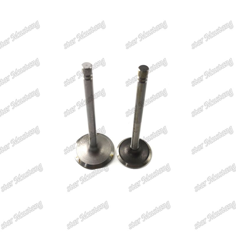 Stok Durumu Caterpillar motor yedek parçaları için 3204 giriş ve 9L7682 egzoz valf 9L7683