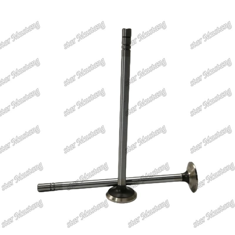 Stock Valve C-9 ex 188-3122 in 163-2442 Caterpillar Motor yedek parçaları için uygundur