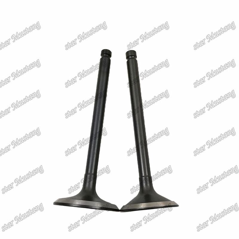 Isuzu Motor yedek parçaları için 3KR1 8941190881 8-94119088-1 5125520462 5-12552046-2 Valf