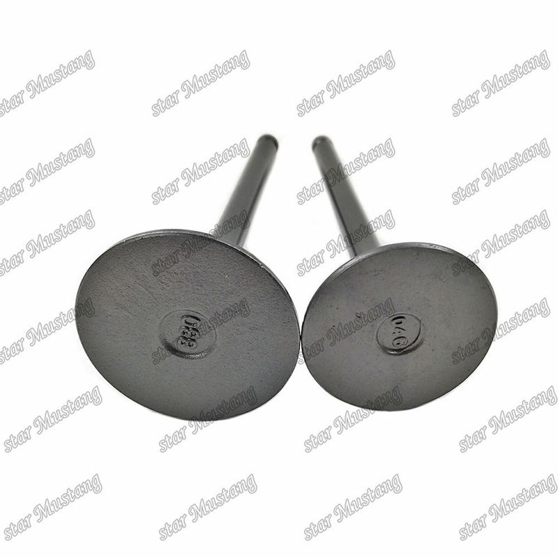 Isuzu Motor yedek parçaları için 3KR1 8941190881 8-94119088-1 5125520462 5-12552046-2 Valf