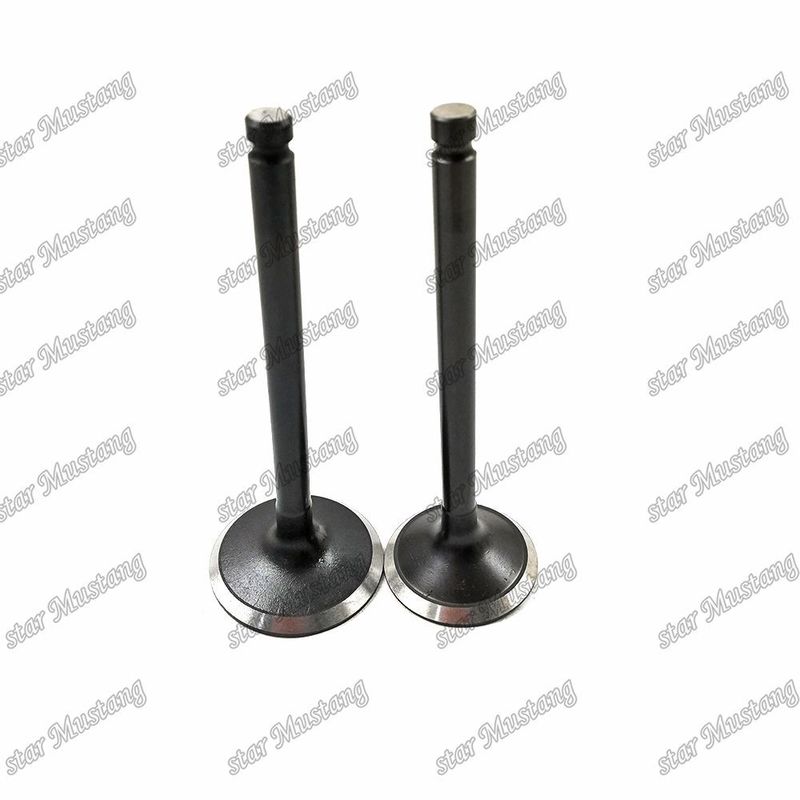 Isuzu Motor yedek parçaları için 3KR1 8941190881 8-94119088-1 5125520462 5-12552046-2 Valf