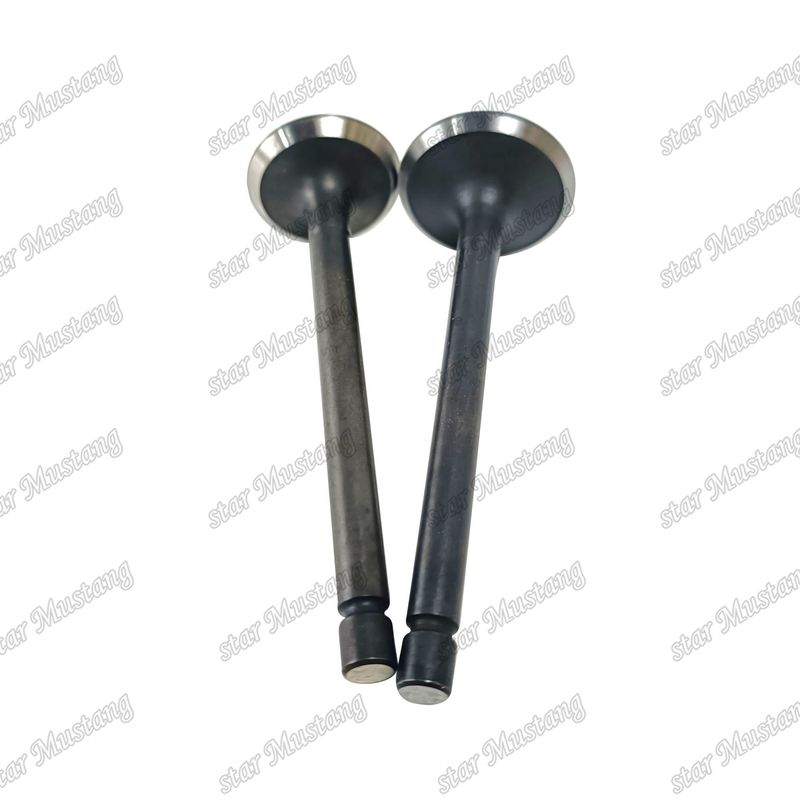Motor Valvu 3LA1 8-97102-123-0 8-97045-410-2 Isuzu Motor yedek parçaları için