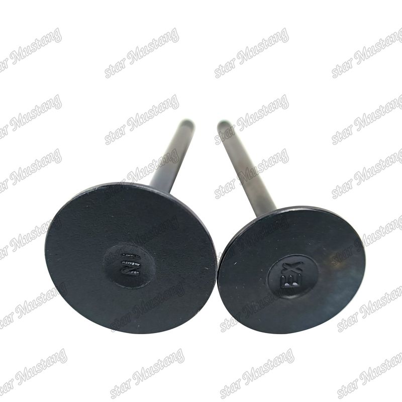 Motor Valvu 3LA1 8-97102-123-0 8-97045-410-2 Isuzu Motor yedek parçaları için