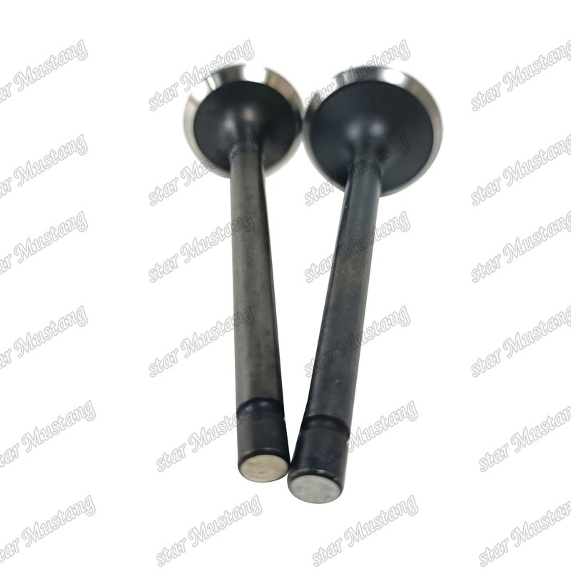 Valf 3LA1 8-97102-123-0 8-97045-410-2 Isuzu Motor yedek parçaları için uygundur