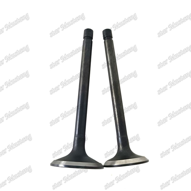 Valf 3LA1 8-97102-123-0 8-97045-410-2 Isuzu Motor yedek parçaları için uygundur