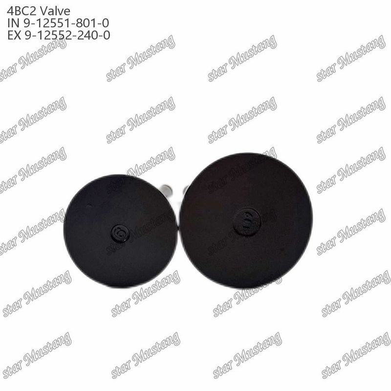 Valf 4BC2 9-12551-801-0 9-12552-240-0 Isuzu Motor yedek parçaları için uygundur