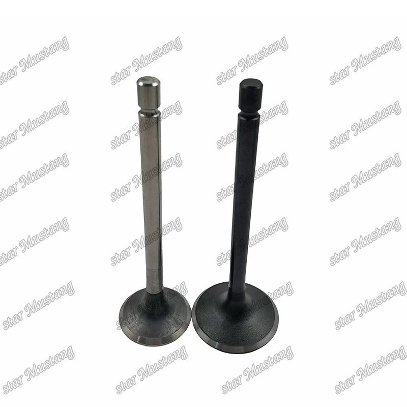 Motoru Valf 4HF1 4HG1 8-97033-964-1 8-97019-337-0 Isuzu Motor yedek parçaları için uygundur