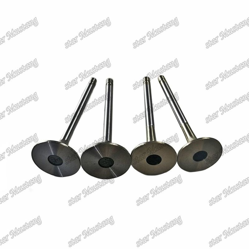 Valf 4HL1 IN 8-94395-113-1 EX 8-94395-462-0 Isuzu motor yedek parçaları için uygundur