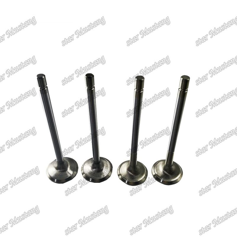 Valf 4HL1 IN 8-94395-113-1 EX 8-94395-462-0 Isuzu motor yedek parçaları için uygundur