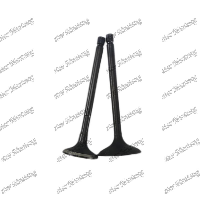 Valf 4JG2 8-97131729-2 8-97080214-1 Isuzu motor yedek parçaları için uygundur