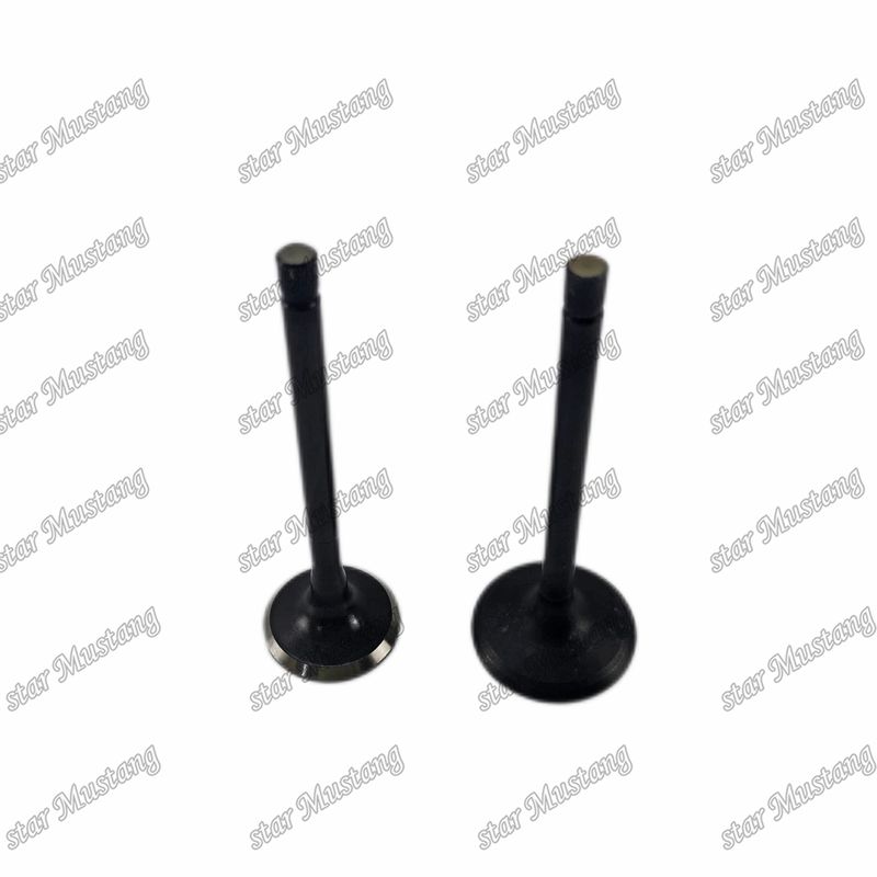 Valf 4JG2 8-97131729-2 8-97080214-1 Isuzu motor yedek parçaları için uygundur