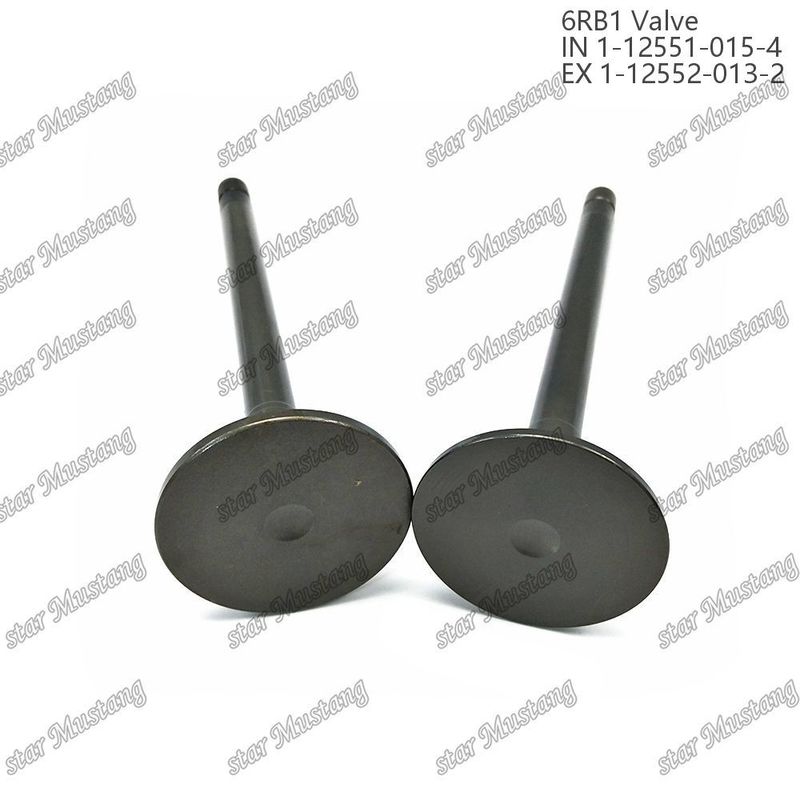 Valf 6RB1 IN 1-12551-015-4 EX 1-12552-013-2 Isuzu Motor yedek parçaları için uygundur