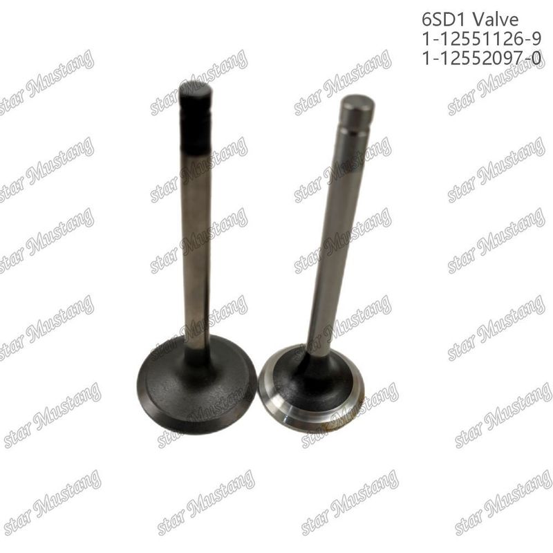 Valf 6SD1 1-12551126-9 1-12552097-0 Isuzu Motor yedek parçaları için uygun