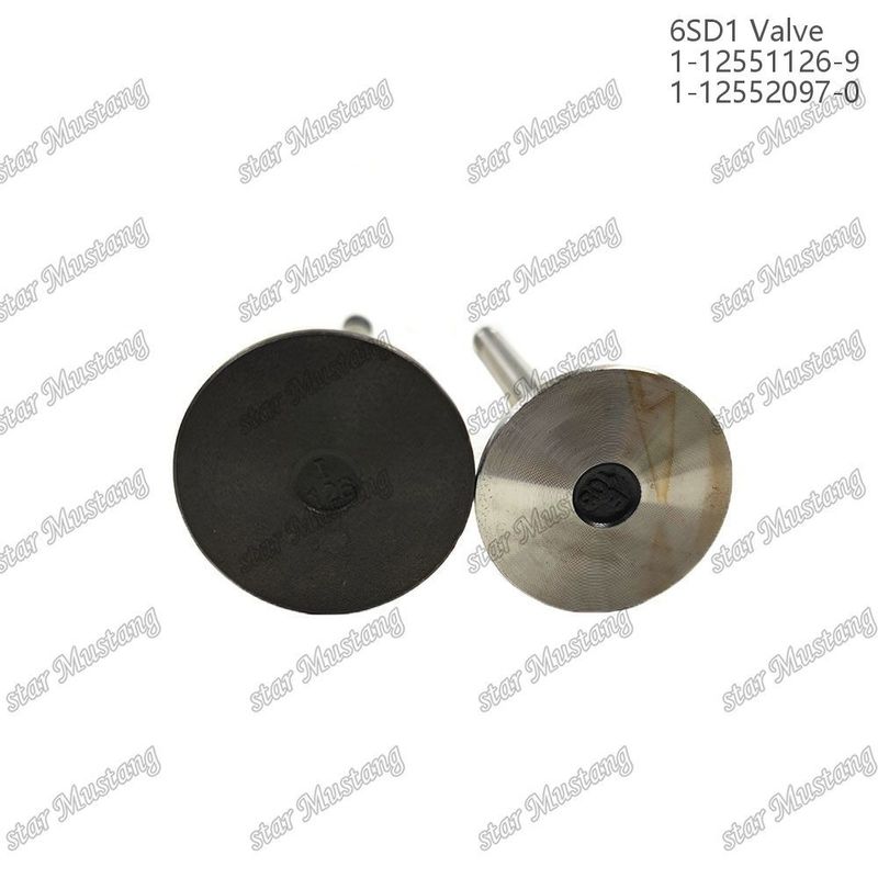 Valf 6SD1 1-12551126-9 1-12552097-0 Isuzu Motor yedek parçaları için uygun