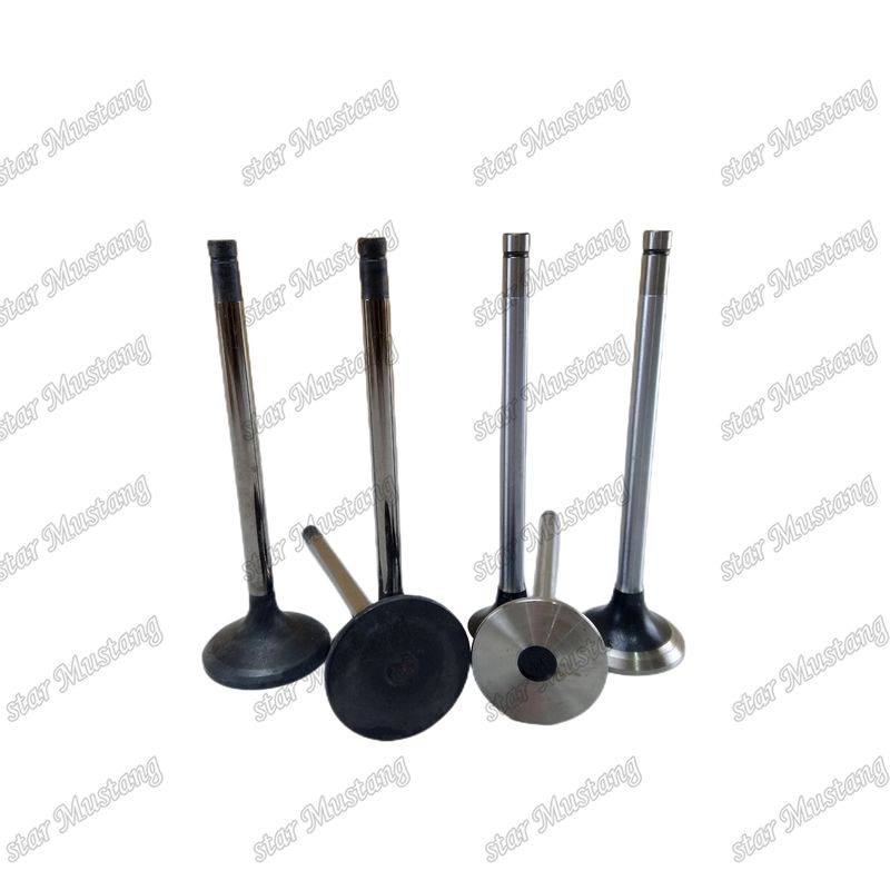 Valf 10PD1 10PE1 1-12551136-3 1-12552097-0 Isuzu Motor yedek parçaları için uygundur
